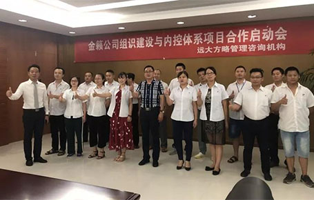 蓄力再發(fā)，金籟科技攜手遠大方略落地管理咨詢項目